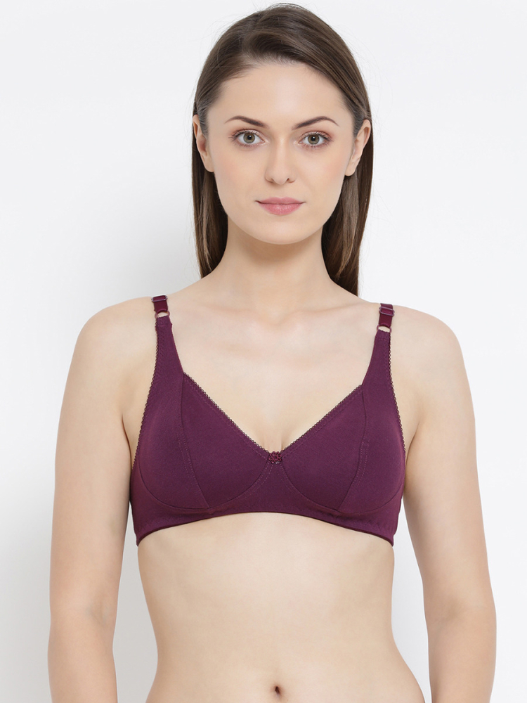 SOFTLINE NEW SOPHIA B CUP REGULAR FANCY BRA ASSORTED COLOUR PACK OF 1