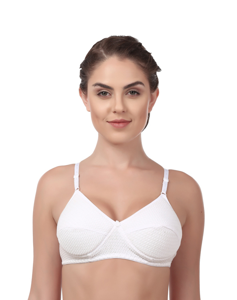 SOFTLINE SANIA REGULAR FANCY BRA ASSORETD COLOUR PACK OF 1