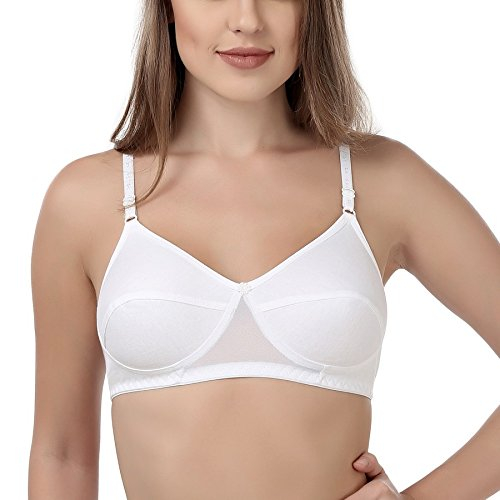 Rupa undergarments website new arrivals